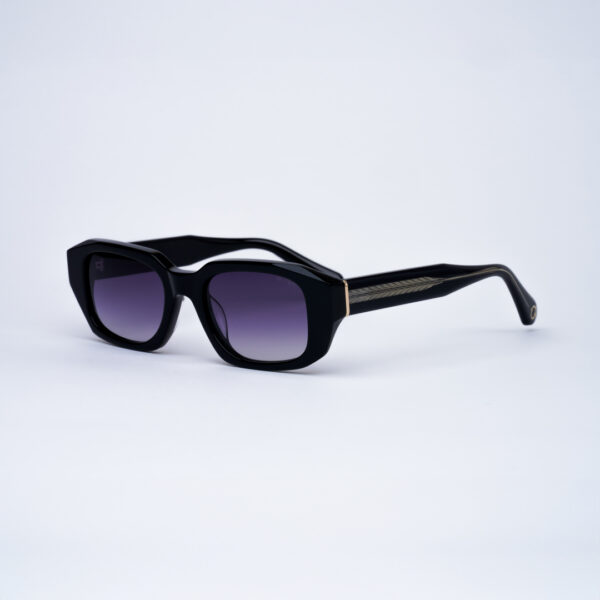 Essilor011032